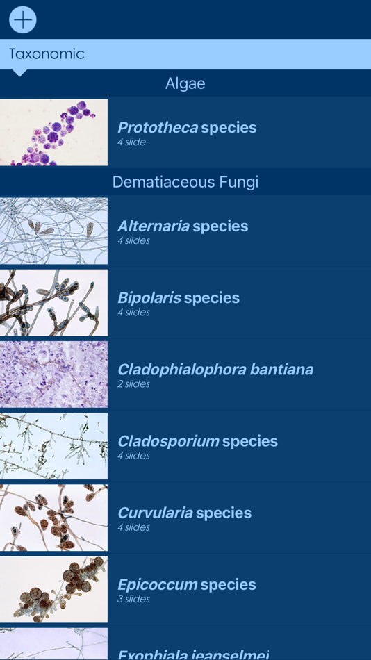 #3. Mycology Image Atlas (iOS) 由: Indiana Pathology Images