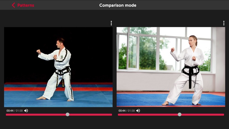 Taekwon-Do ITF Patterns Tuls screenshot-4