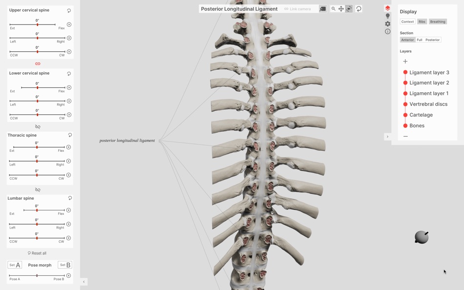 #3. Biomechanics of the Spine (macOS) Podle: Anatomy Standard