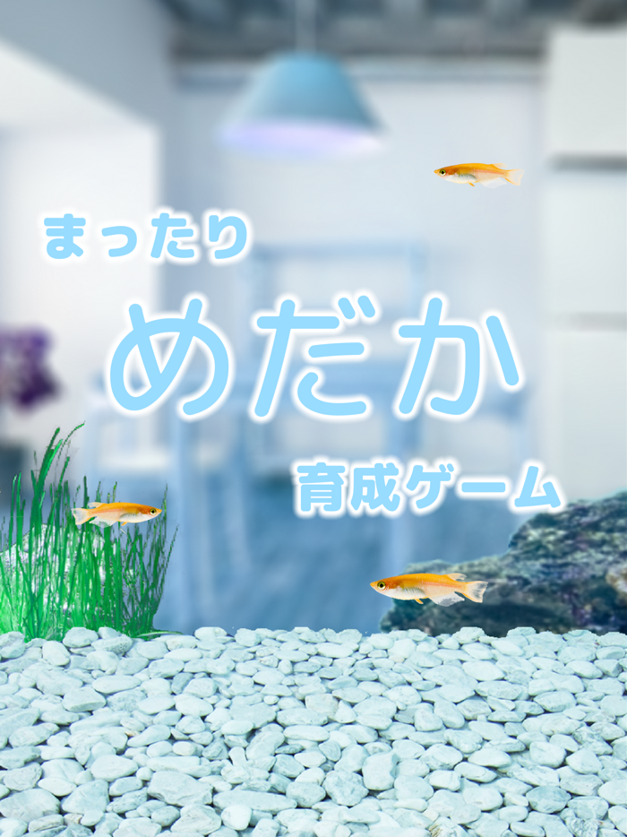 メダカ育成げーむ