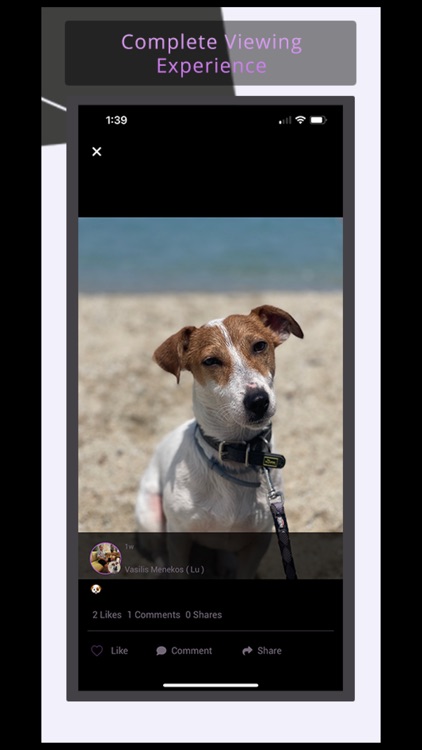 Youpet - Community screenshot-3