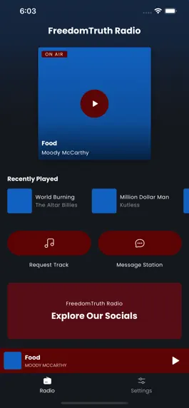 Game screenshot FreedomTruth Radio mod apk