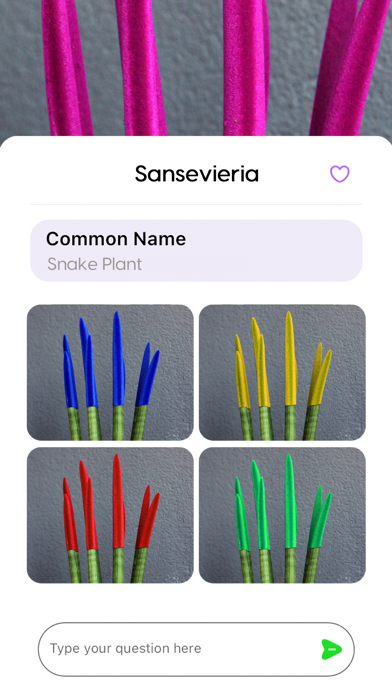 Plant Pic Identifier Screenshot