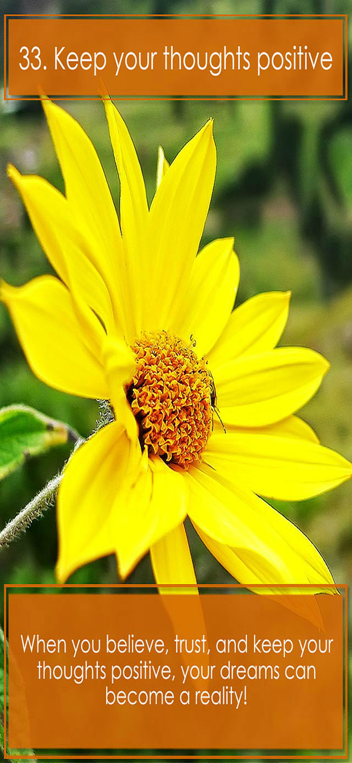 Floramations Oracle Cards