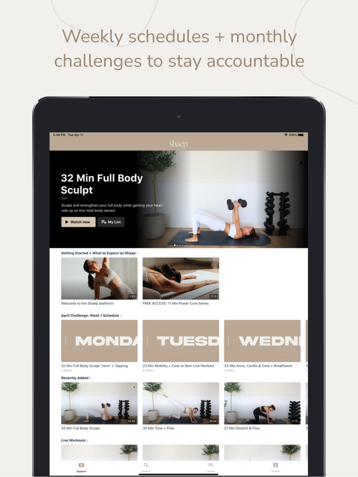 shaep by Kelsey Rose