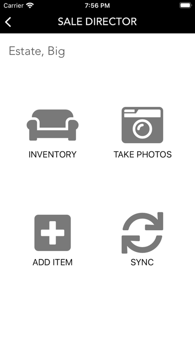 Sale Director Screenshot