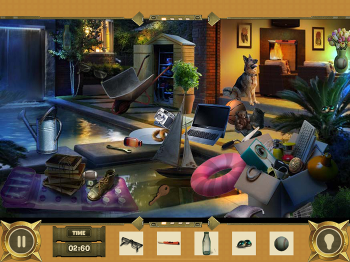 The Hidden Evidences  Puzzle