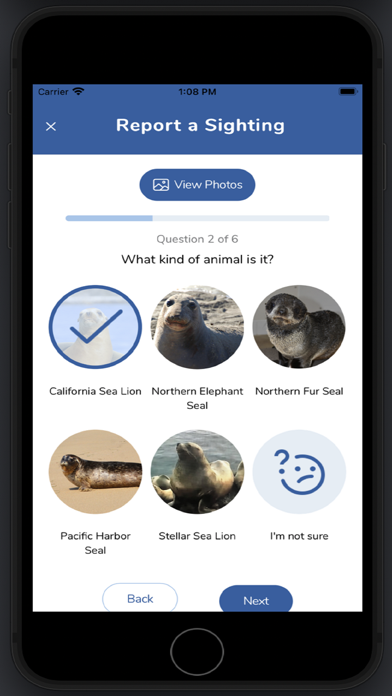 Seal Spotter Screenshot