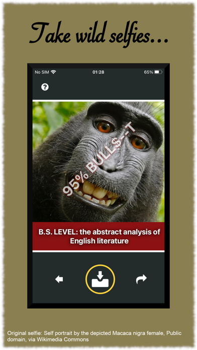 Bull Sniffer Screenshot
