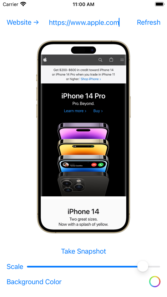 #1. Web-Shot Pro (iOS) 由: Venu Madhav Tondamuthuru