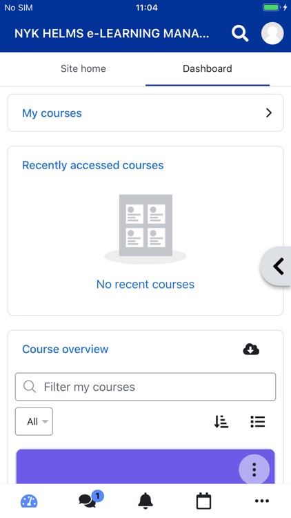 NYK HELMS screenshot-3