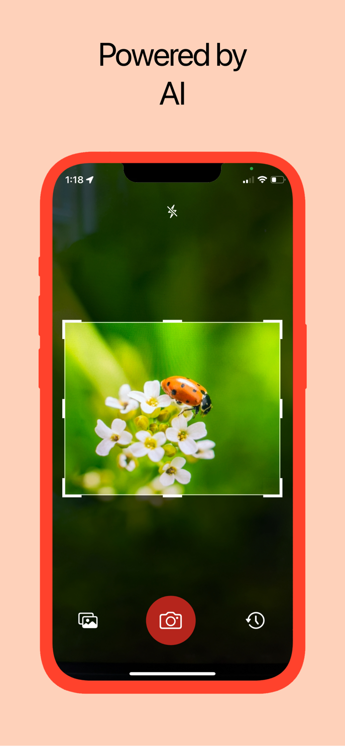 Insect Identifier AI Scanner