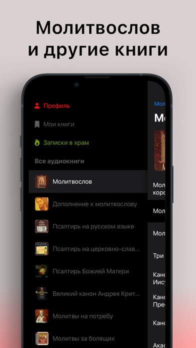 Аудиомолитвослов Screenshot