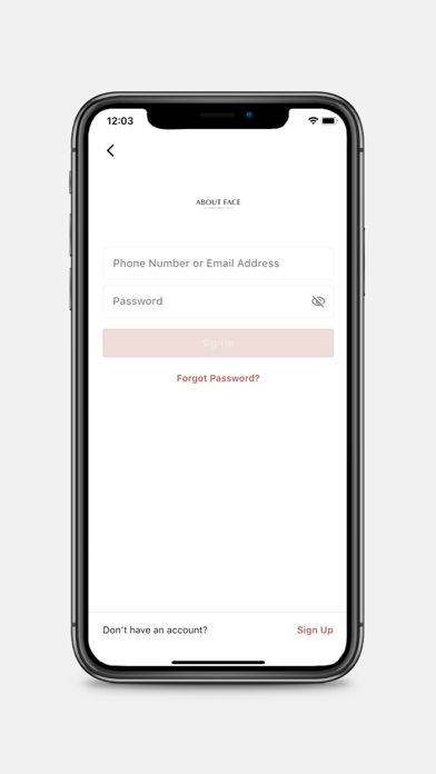 About Face Screenshot