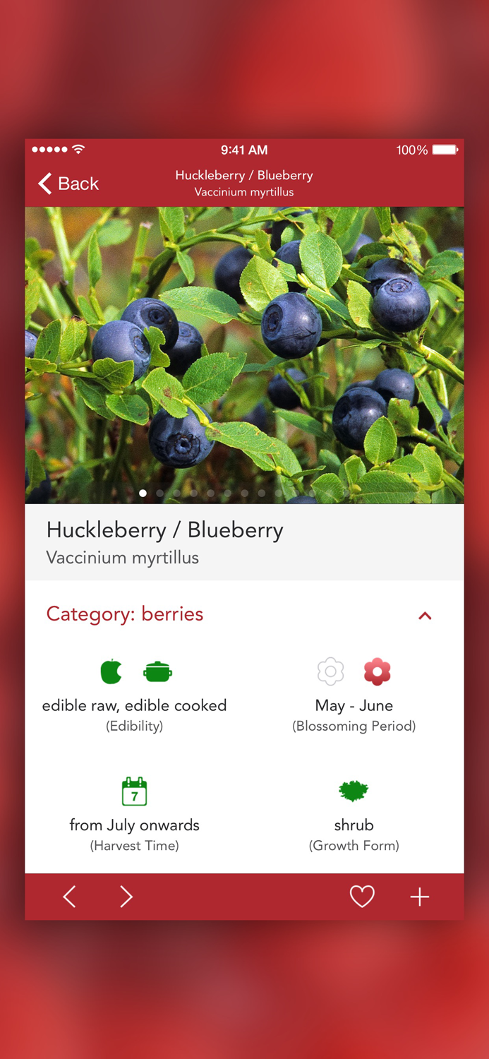 Wild Berries and Herbs LITE