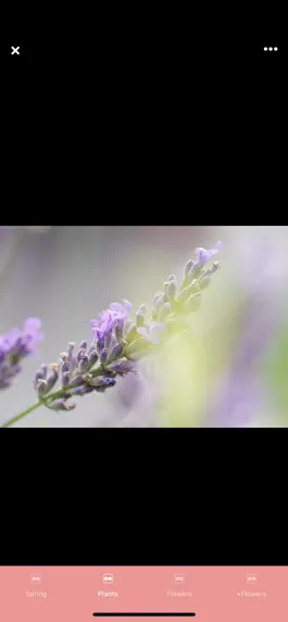 Game screenshot PicFlowers: Flowers Images App hack