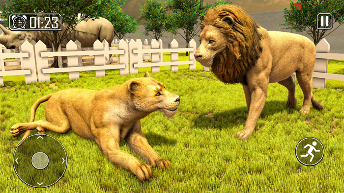 Zoo Keeper Safari Park Animals