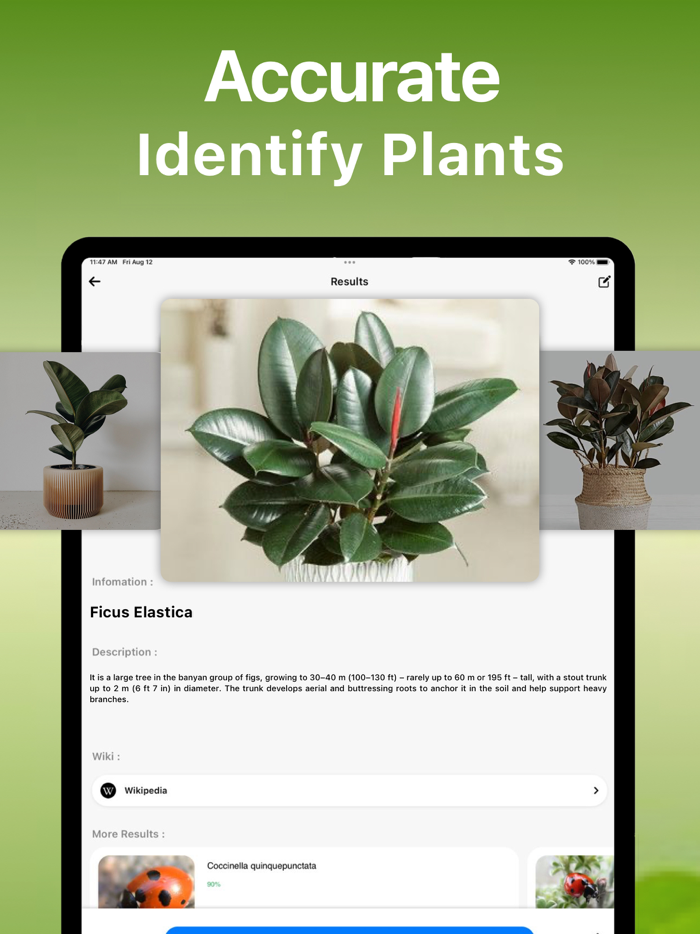 Bird Song Identifier Sounds ID