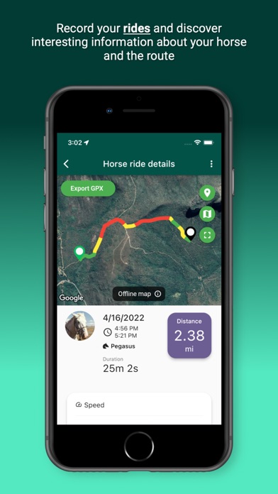Horsefy Screenshot