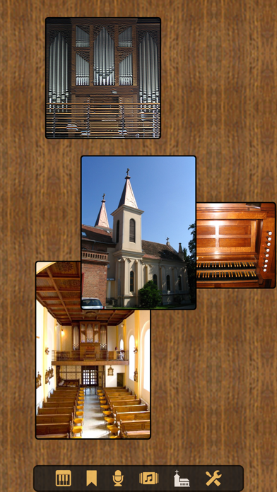 EuleOrgan Screenshot