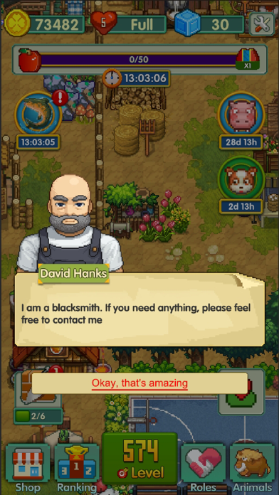 TownMatch Screenshot