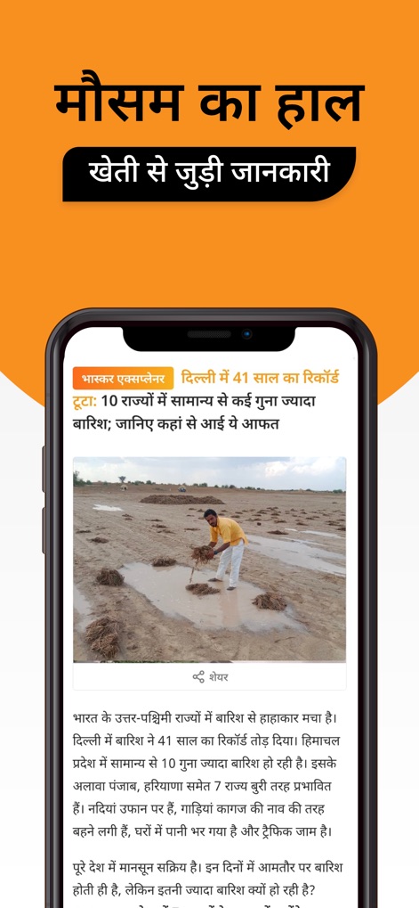 Hindi News by Dainik Bhaskar - This tool delivers essential detailed weather updates, alongside critical agricultural impact reports relevant to local communities.