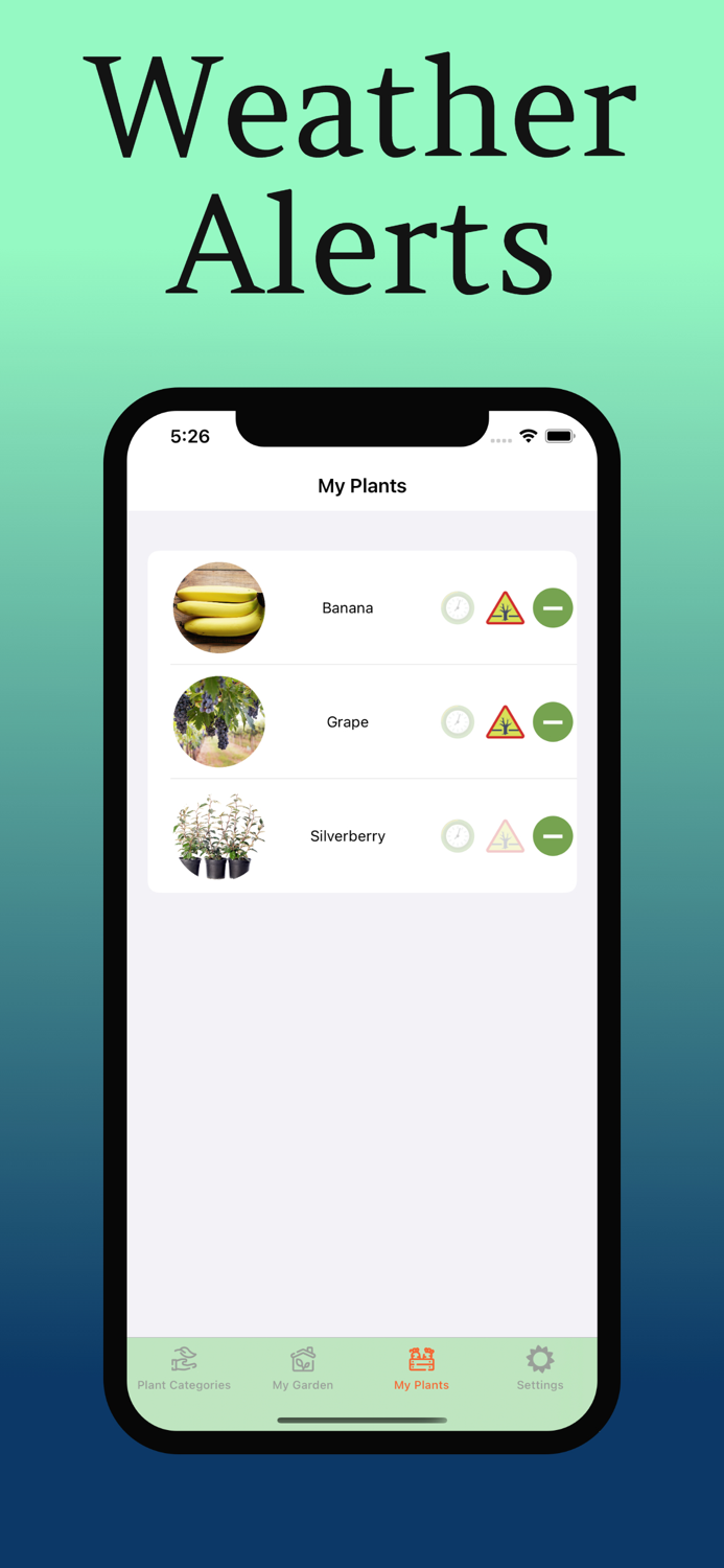 Plant Care Guide and Tips