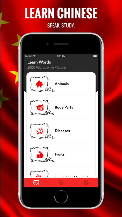 Chinese Visual Vocabulary Screenshot