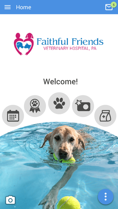 Faithful Friends Vet Screenshot