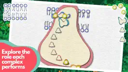 Game screenshot Powerhouse of the Cell apk