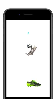 cat sports iphone screenshot 2
