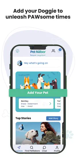 Game screenshot Pet Nabor apk