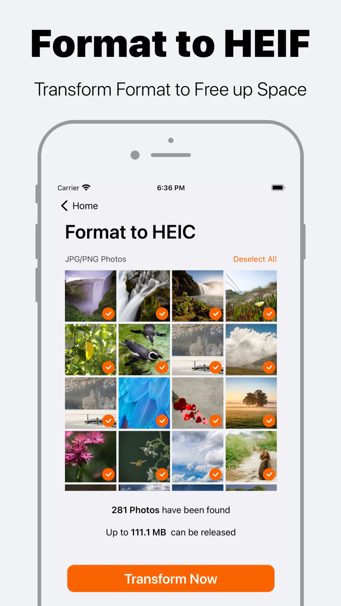 Phone Cleaner for iPhone Photo