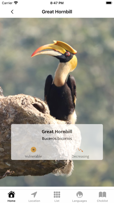 Indian Birds Screenshot