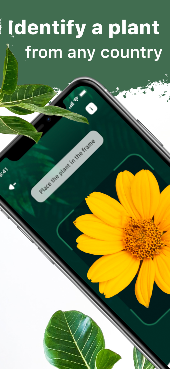 Plant Doctor plant care guide