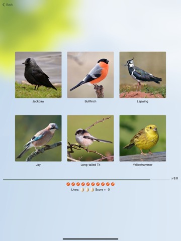 Chirp! Bird Songs UK & Europeのおすすめ画像7