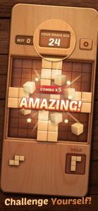 Block Puzzle Wood 3D screenshot #3 for iPhone