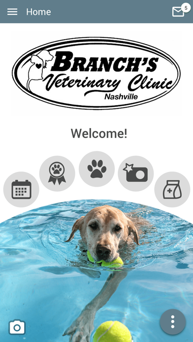 Branchs Vet Clinic Nashville Screenshot