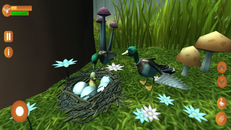 Ducklings Duck Life Simulator screenshot-3