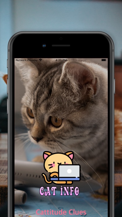 CattitudeClues screenshot-6