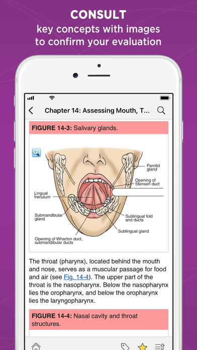 Weber: Nurse Health Assessment Screenshot