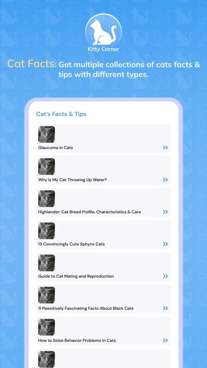 KittyCorner: Facts & Info screenshot-5