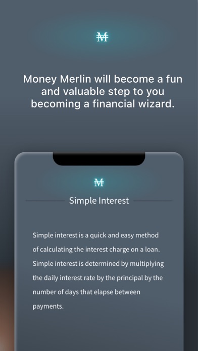 MoneyMerlin Screenshot