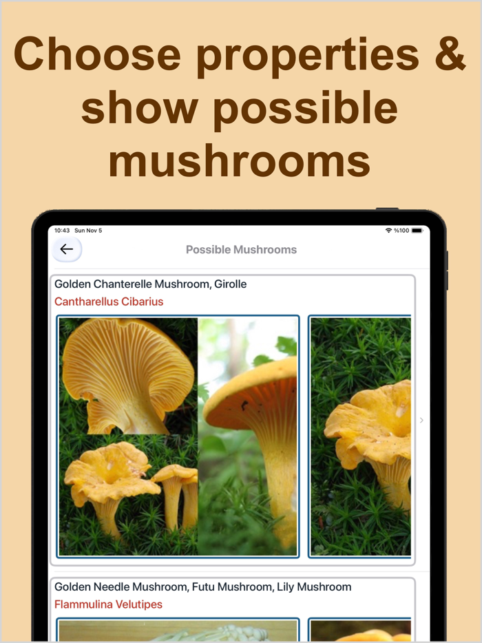 Forest Mushroom Identification