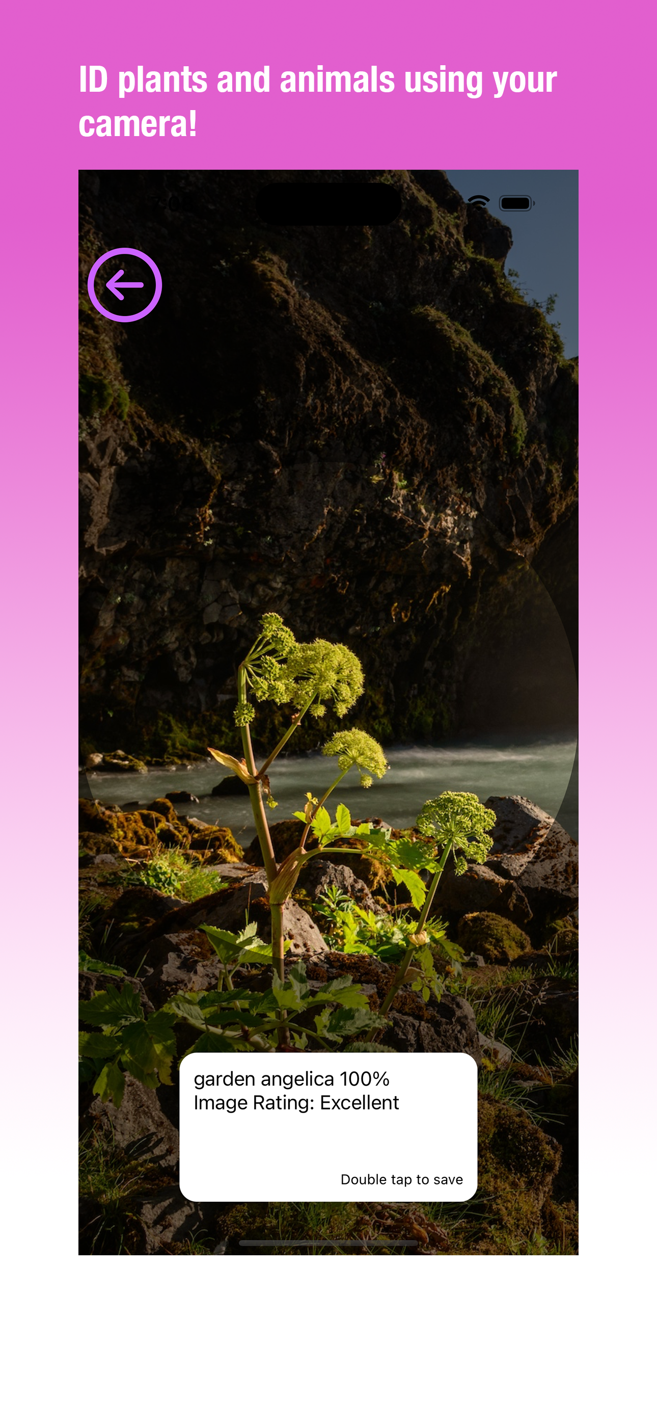 CrossPrism Nature Guide