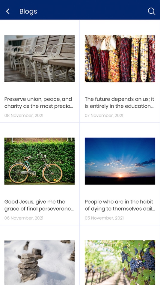 #5. Daily Moreau (iOS) 由: St. Edwards University