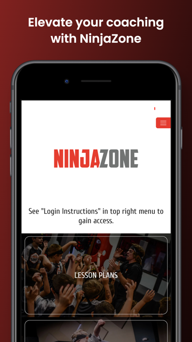 Ninja Zone Screenshot