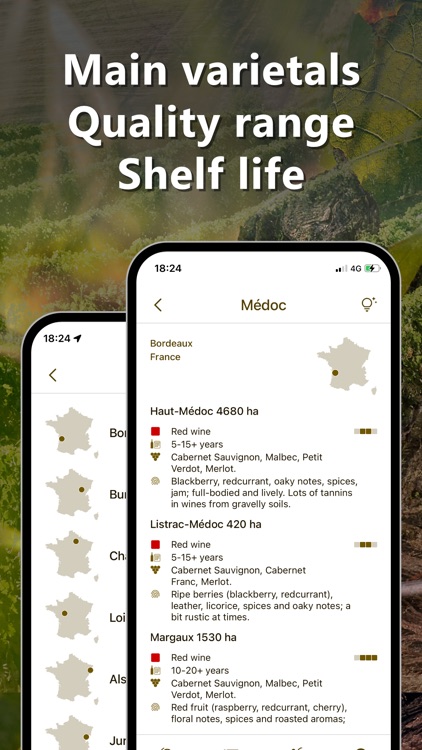 Wine Profiles & Vine Varieties screenshot-4