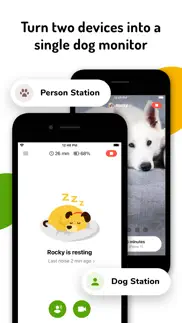 barkio: dog monitor & pet cam iphone screenshot 3
