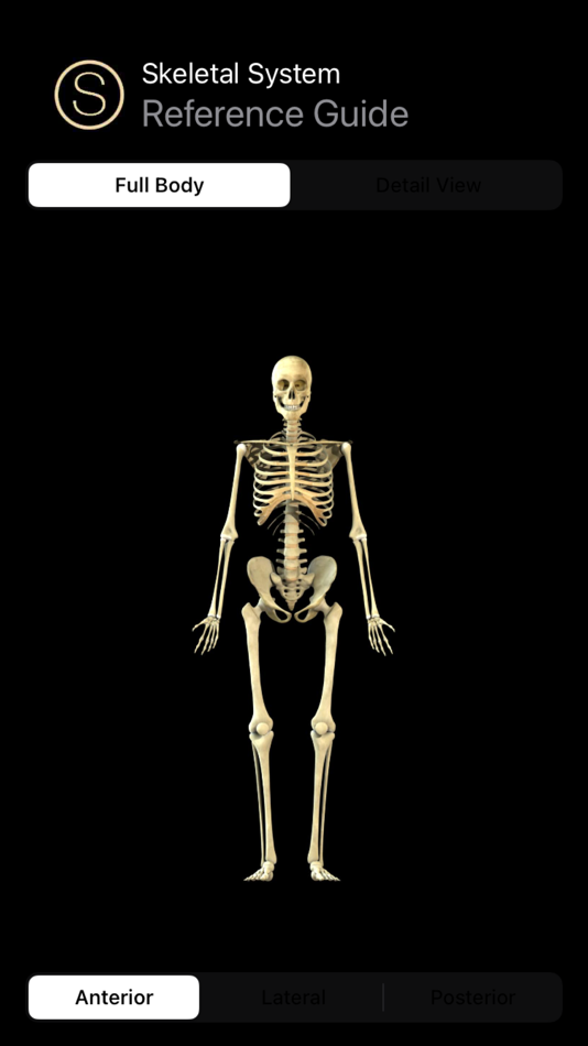 Human Skeleton Reference Guide - 2.2.0 - (macOS)